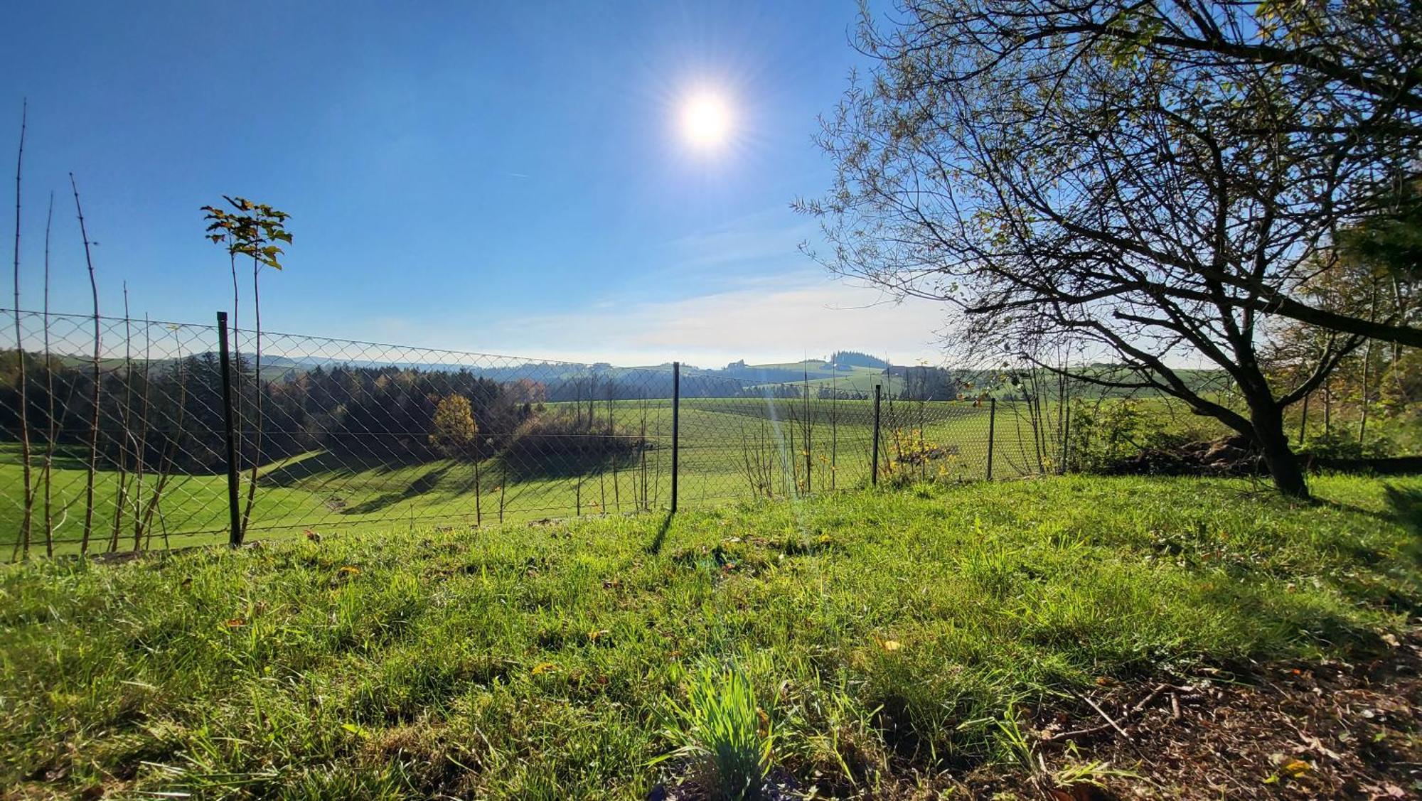Cottage Alpenblick Gramastetten Esterno foto